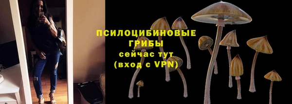 бошки Карпинск